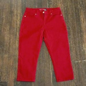 🔷️8 Petite Capri Stretch, Gloria Vanderbuilt